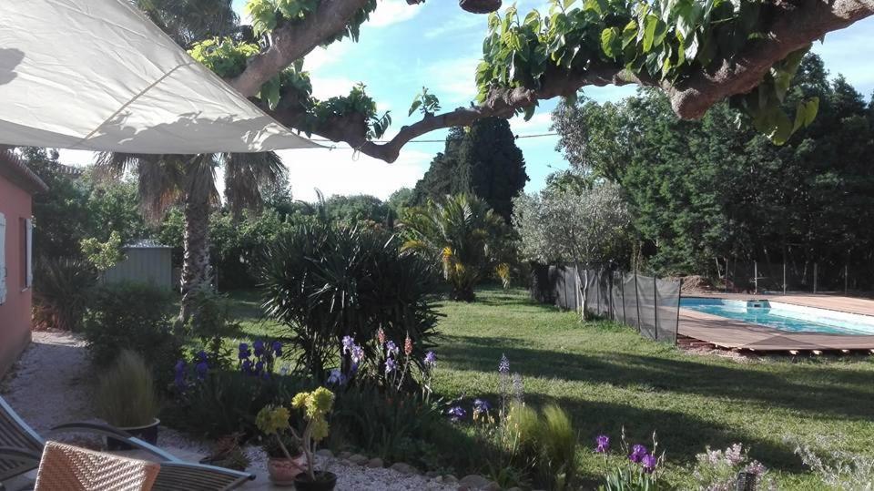 Gite Mas Uranie Le Soler Exteriör bild